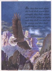 (Freedom) Eagle in Flight - Art Print by Don Balke | Movie Poster Prints from Posterazzi