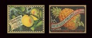 Fruit Duet - Art Print | Movie Poster Prints from Posterazzi