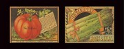 Vegetable Duet - Art Print | Movie Poster Prints from Posterazzi