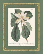 Anonymous - Magnolia Folus Size 20x16 - Art Print | Movie Poster Prints from Posterazzi