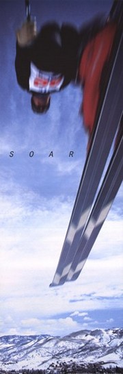 Soar-Skier - Art Print | Movie Poster Prints from Posterazzi
