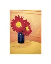 Blue Jar - Art Print by Jeff Croteau | Movie Poster Prints from Posterazzi