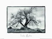 Coe Park - Art Print by Saelon Renkes | Movie Poster Prints from Posterazzi