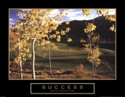 Golf-Success - Art Print | Movie Poster Prints from Posterazzi