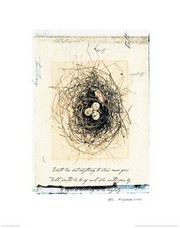 Bird's Nest - Art Print by Julie Nightingale | Movie Poster Prints from Posterazzi