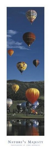 Balloons - Nature's Majesty - Art Print | Movie Poster Prints from Posterazzi