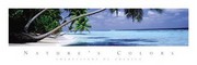 Nature's Colors - Turquoise Beach - Art Print | Movie Poster Prints from Posterazzi