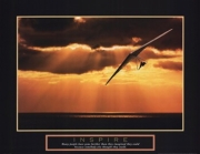 Inspire - Hang Glider - Art Print | Movie Poster Prints from Posterazzi
