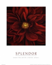Splendor - Red Pool - Art Print | Movie Poster Prints from Posterazzi