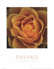 Elegance - Peach Rose - Art Print | Movie Poster Prints from Posterazzi