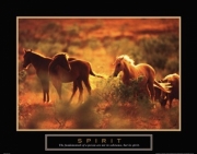 Spirit - Horses - Art Print | Movie Poster Prints from Posterazzi