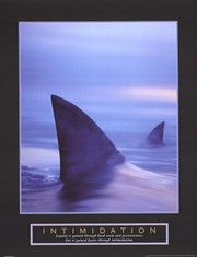 Intimidation - Sharks - Art Print | Movie Poster Prints from Posterazzi