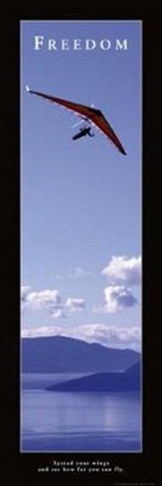 Freedom - Hang Glider - Art Print | Movie Poster Prints from Posterazzi
