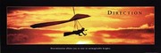 Direction - Hang Glider - Art Print | Movie Poster Prints from Posterazzi