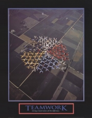 Teamwork-Skydivers - Art Print | Movie Poster Prints from Posterazzi