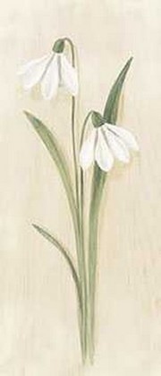 Flowers on Wood 1 - Art Print by Pierre Vermont | Movie Poster Prints from Posterazzi