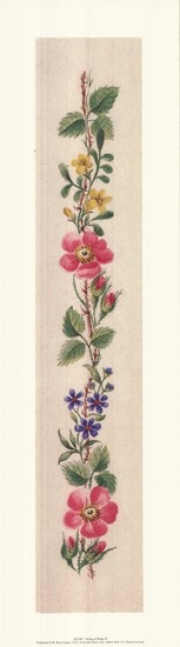 String Of Roses II - Art Print | Movie Poster Prints from Posterazzi