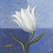 Flowers Bottomless Fabric 6 - Art Print by Julio Sierra | Movie Poster Prints from Posterazzi