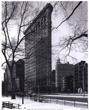 Flat Iron Building - Art Print by Christopher Bliss | Movie Poster Prints from Posterazzi