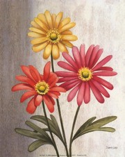 Gerber Daisies - Art Print by Debra Lake | Movie Poster Prints from Posterazzi