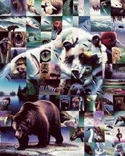 Wildlife Mosaics Bear - Art Print by Daniel renn Pierce | Movie Poster Prints from Posterazzi