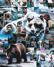 Wildlife Mosaics Bear - Art Print by Daniel renn Pierce | Movie Poster Prints from Posterazzi