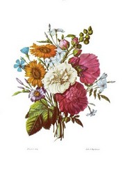 Classical Bouquet - Art Print | Movie Poster Prints from Posterazzi