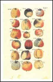 Fruit and Nuts - Art Print | Movie Poster Prints from Posterazzi