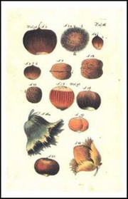 Fruit and Nuts - Art Print | Movie Poster Prints from Posterazzi