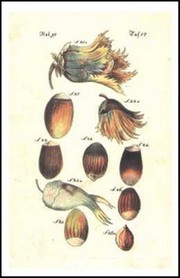Fruit and Nuts - Art Print | Movie Poster Prints from Posterazzi