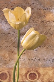 Yellow Tulip - Art Print | Movie Poster Prints from Posterazzi