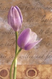 Lavendar Tulip - Art Print | Movie Poster Prints from Posterazzi