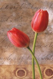 Red Tulip - Art Print | Movie Poster Prints from Posterazzi