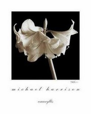 Amaryllis - Art Print by Michael Harrison | Movie Poster Prints from Posterazzi