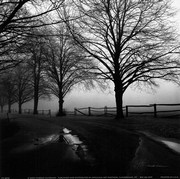 After the Rain - Art Print by Harold Silverman | Movie Poster Prints from Posterazzi