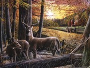 Autumn Harvest - Art Print by Kevin Daniel | Movie Poster Prints from Posterazzi