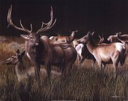 The Gathering - Art Print by Kevin Daniel | Movie Poster Prints from Posterazzi
