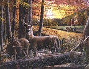 Autumn Harvest - Art Print by Kevin Daniel | Movie Poster Prints from Posterazzi