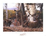 Autumn's Majesty - Art Print by Kevin Daniel | Movie Poster Prints from Posterazzi