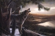 Howling Wolves - Art Print by Kevin Daniel | Movie Poster Prints from Posterazzi