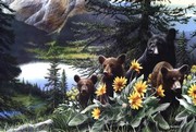 Basking in the Balsam - Art Print by Kevin Daniel | Movie Poster Prints from Posterazzi