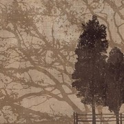 Morning Mist II - Art Print | Movie Poster Prints from Posterazzi