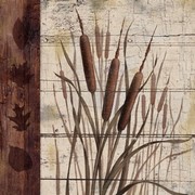 Walk To The Pond II - Art Print | Movie Poster Prints from Posterazzi