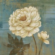 Soft Petals I - Art Print | Movie Poster Prints from Posterazzi