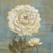 Soft Petals II - Art Print | Movie Poster Prints from Posterazzi