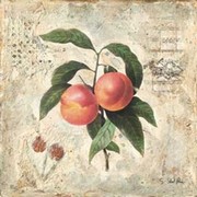 Sokol-hohne - Peaches Size 6x6 - Art Print by Starlie Sokol Hohne | Movie Poster Prints from Posterazzi