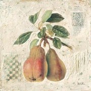Pears - Art Print by Starlie Sokol Hohne | Movie Poster Prints from Posterazzi