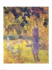 "Man Picking Fruit from a Tree, 1897" - Art Print by Paul Gauguin | Movie Poster Prints from Posterazzi