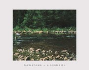 A Good Fish - Art Print by Paco Young | Movie Poster Prints from Posterazzi
