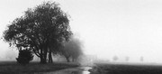 Early Spring - Art Print by Richard Calvo | Movie Poster Prints from Posterazzi